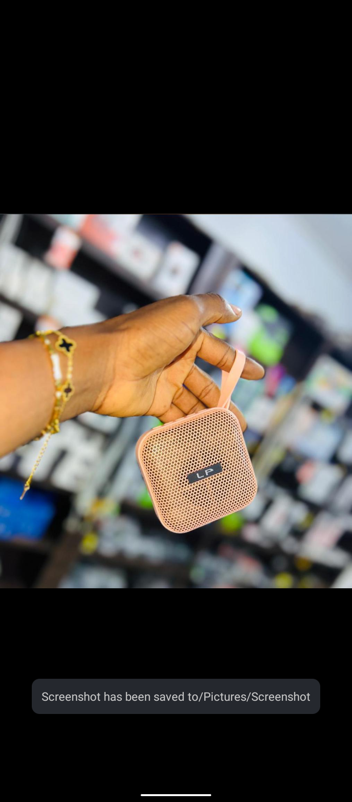 LP Handheld Speaker