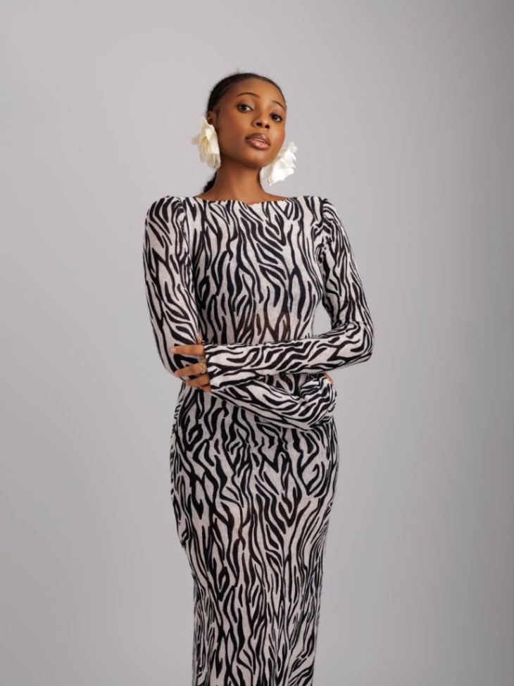Zephyr Mesh Bodycon Dress