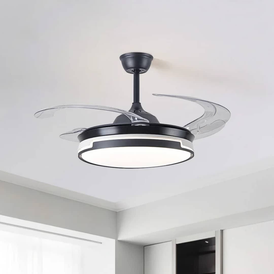 Fan with light 
