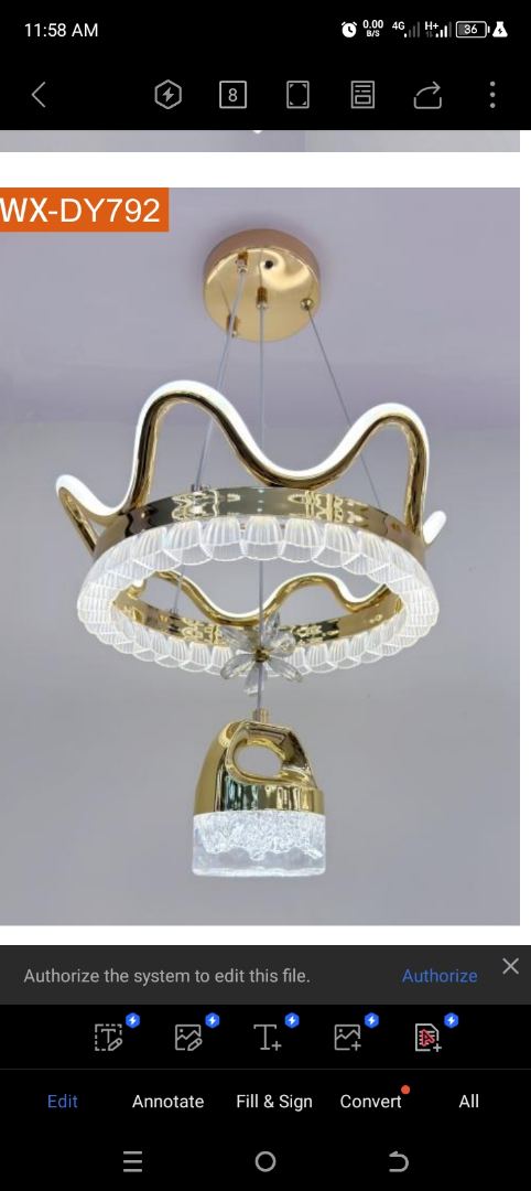 Crown chandelier lights 